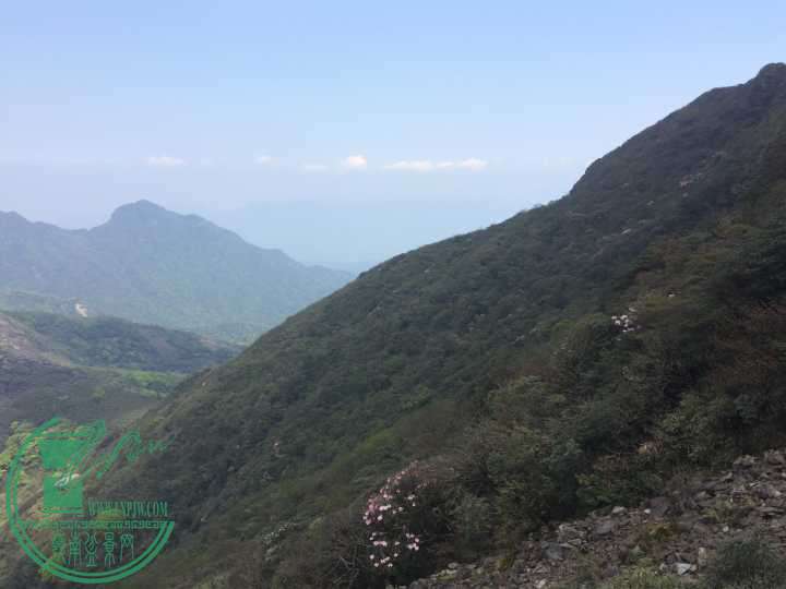-3ca07d24dc9c6946.jpg