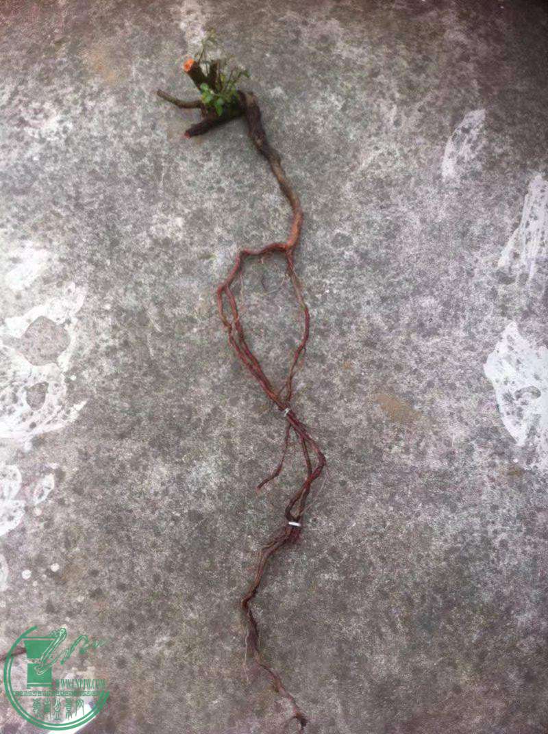 psb (18)_������.jpg