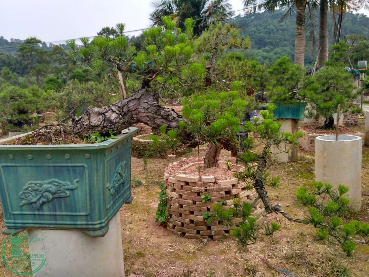 ΢ͼƬ_20170502201915.jpg