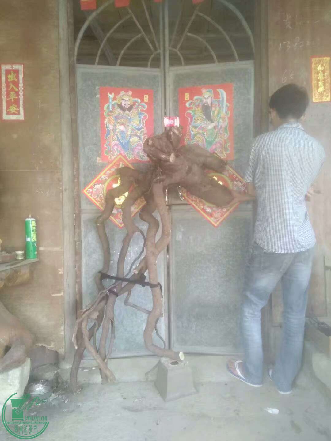 1493730731718.jpeg