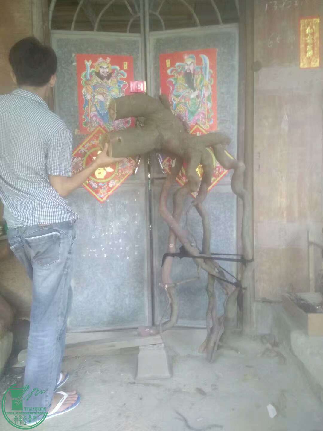 1493730723443.jpeg
