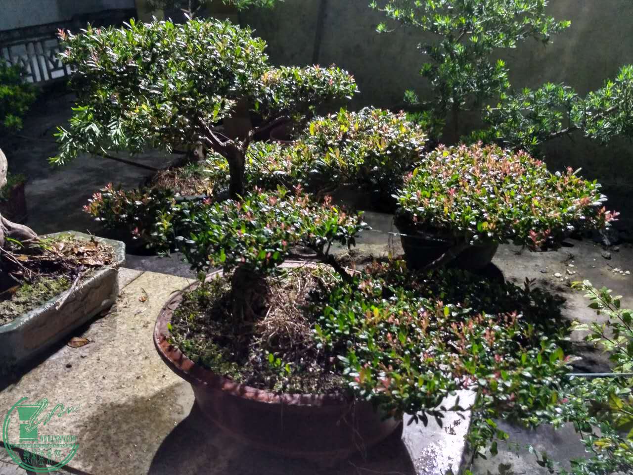 ΢ͼƬ_20170507211946.jpg