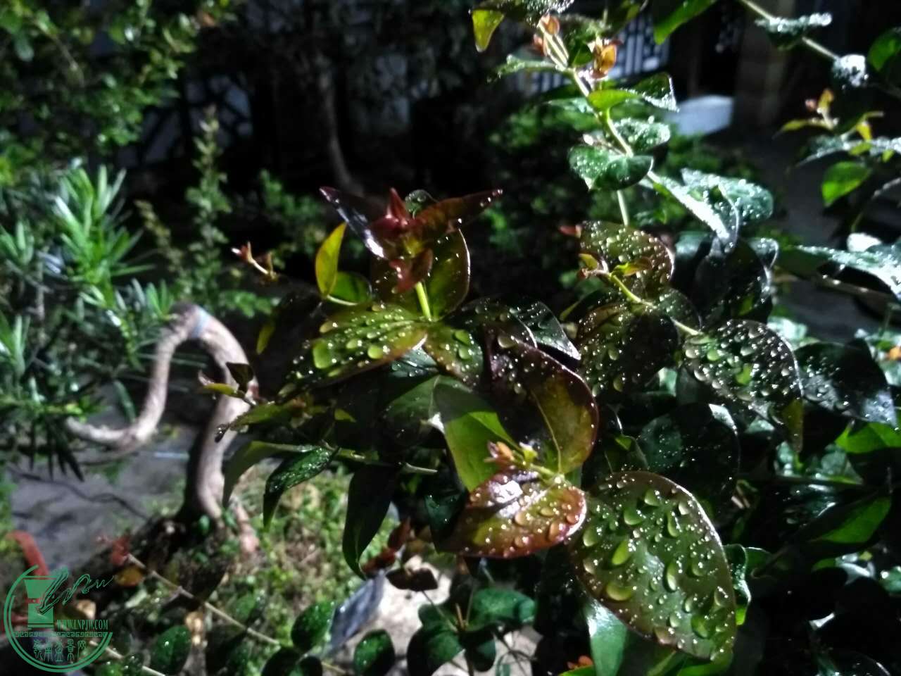 ΢ͼƬ_20170507211959.jpg