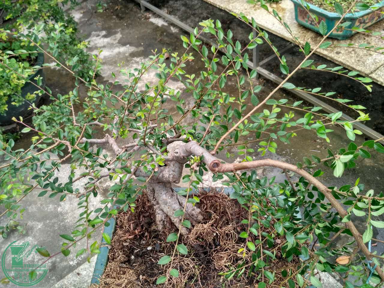 ΢ͼƬ_20170507211930.jpg