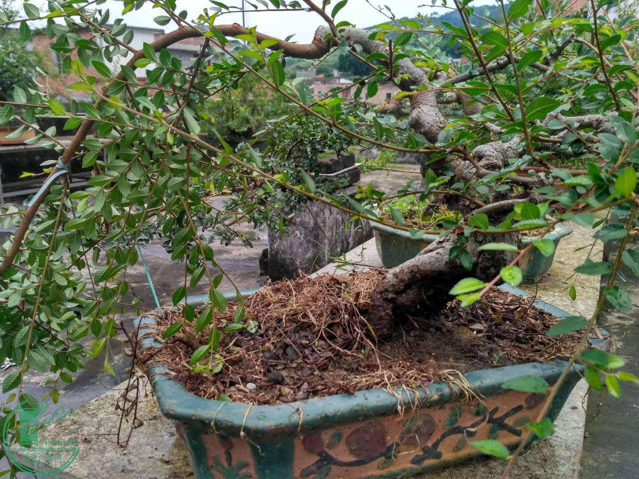 ΢ͼƬ_20170507211923.jpg