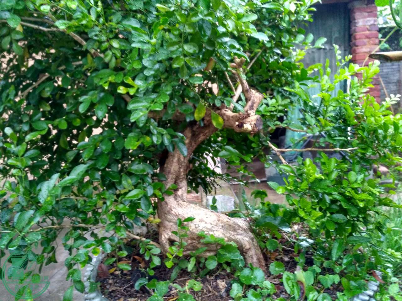 ΢ͼƬ_20170510074916.jpg