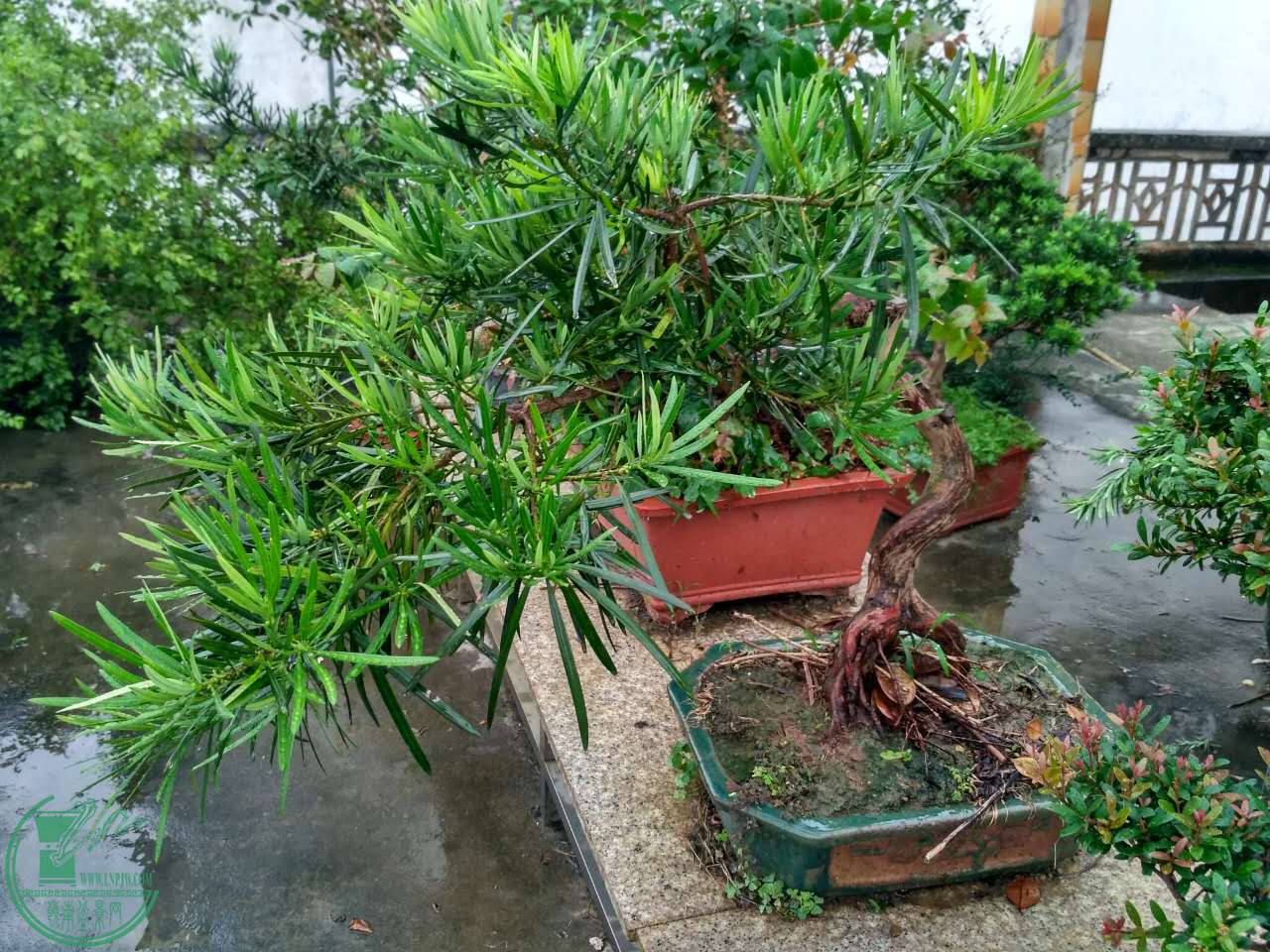 ΢ͼƬ_20170510080427.jpg