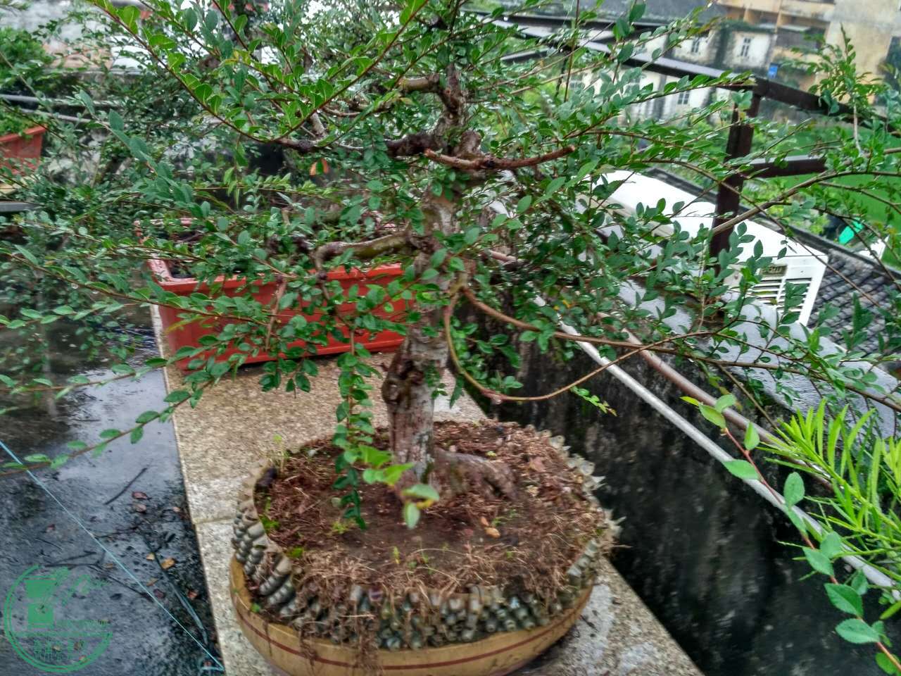 ΢ͼƬ_20170510080430.jpg