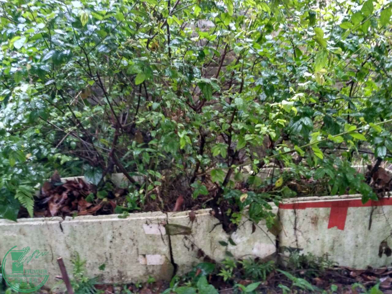 ΢ͼƬ_20170510080433.jpg