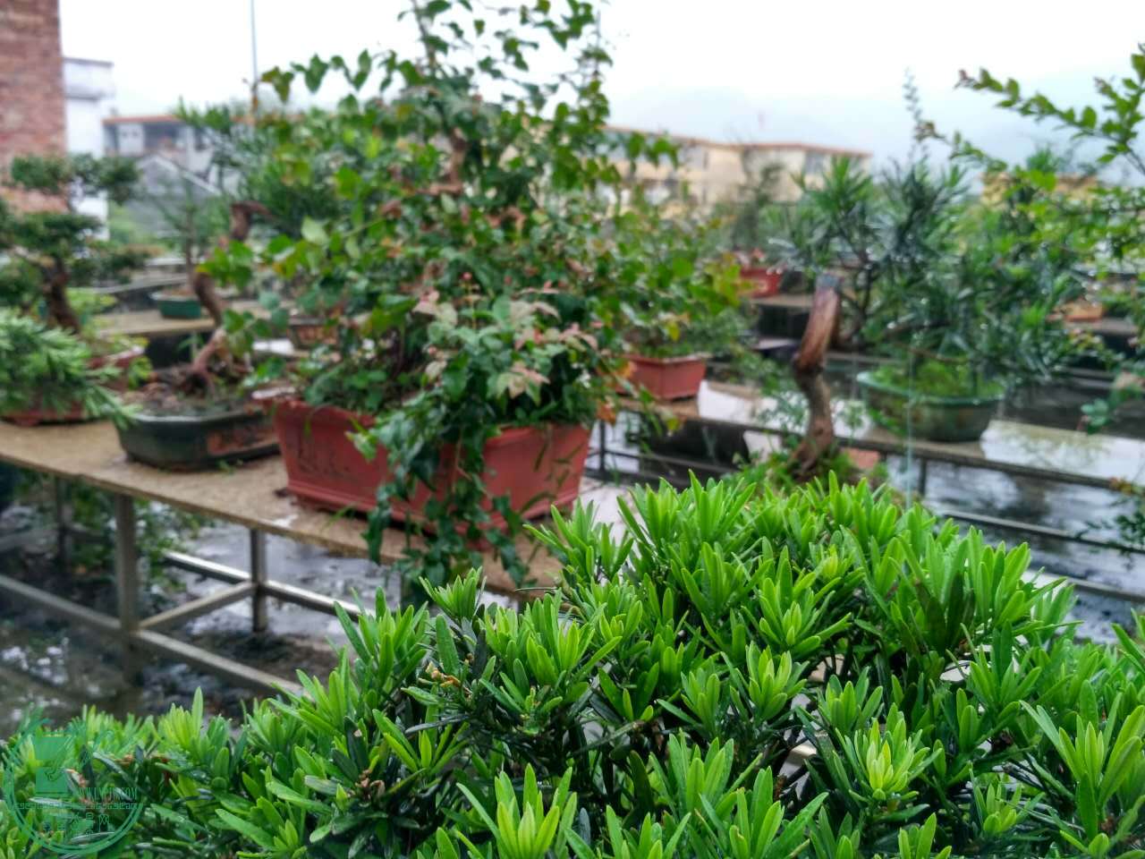 ΢ͼƬ_20170510080444.jpg