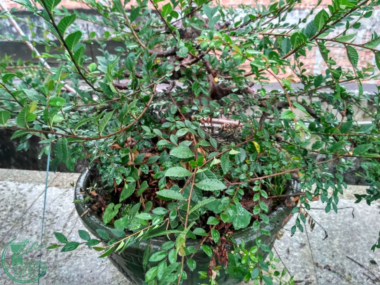 ΢ͼƬ_20170510080452.jpg