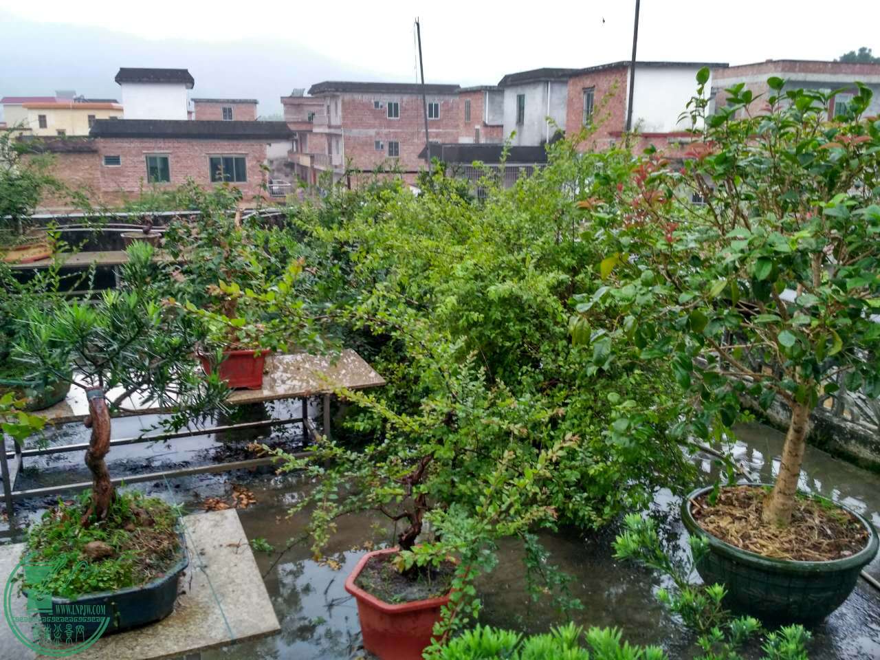 ΢ͼƬ_20170510080458.jpg