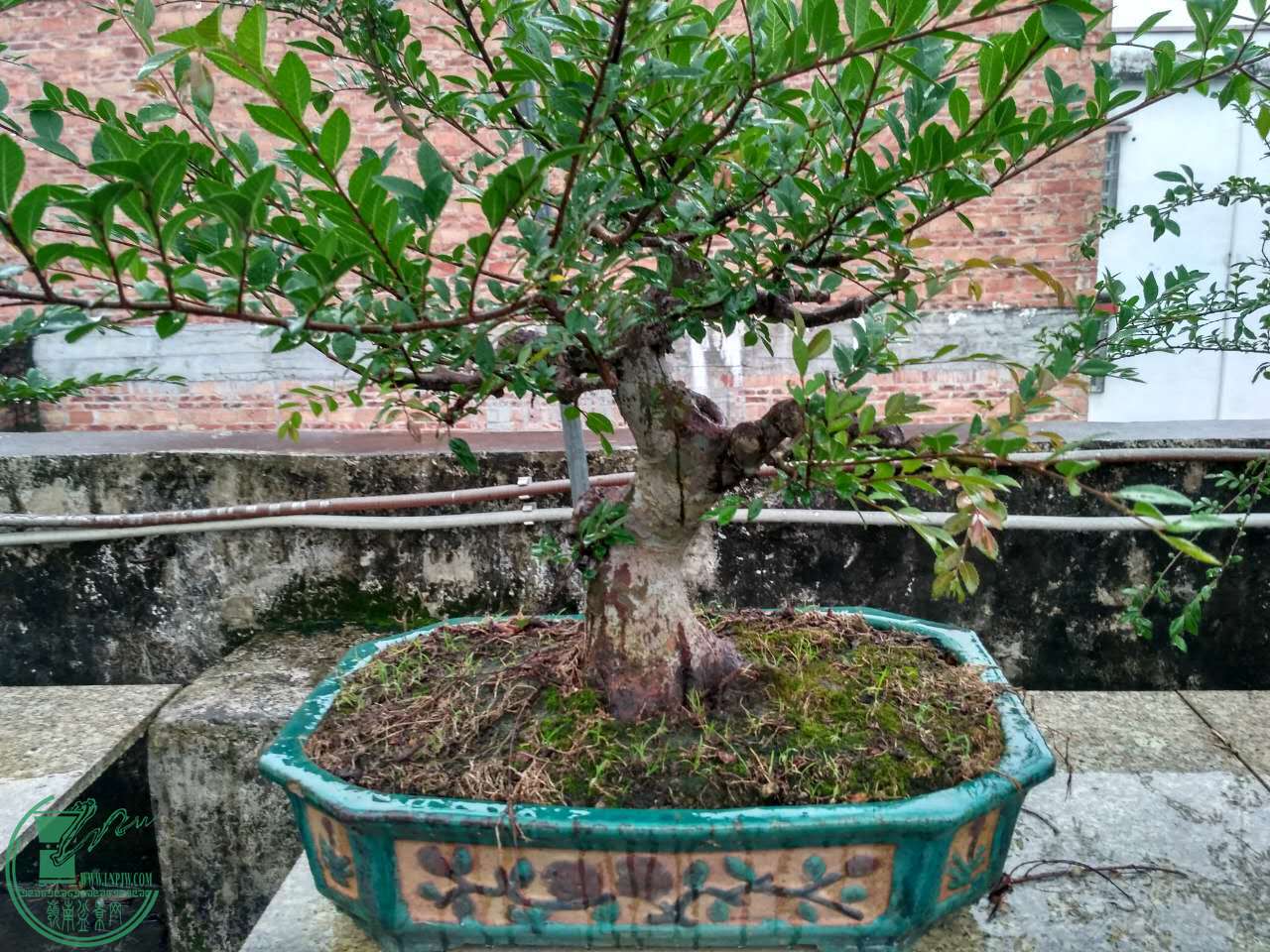 ΢ͼƬ_20170510080454.jpg