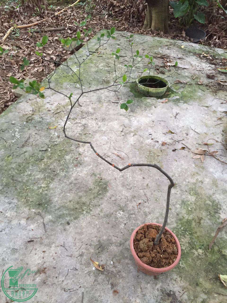 ΢ͼƬ_20170512002211.jpg
