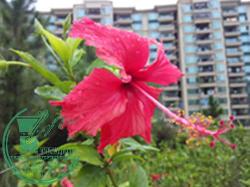 IMG_20151005_163831.jpg