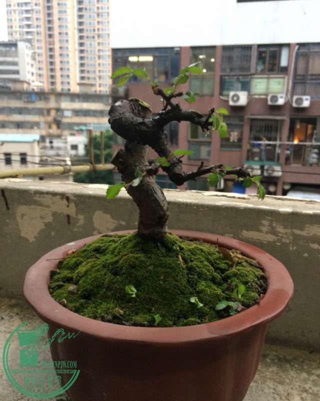 QQͼƬ20170517185729.jpg