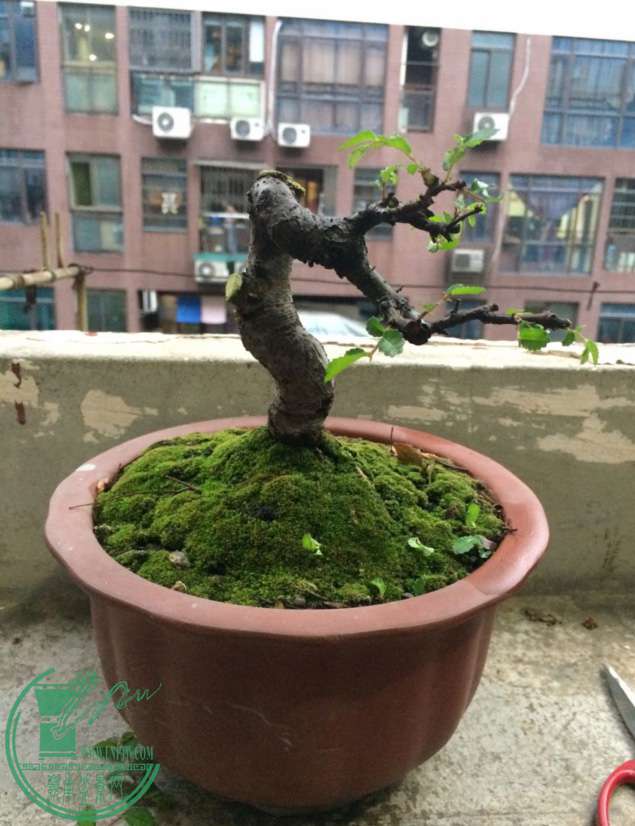 QQͼƬ20170517185813.jpg