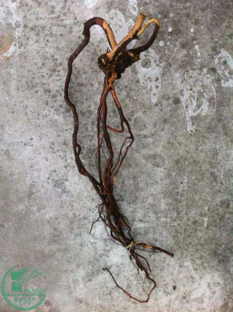 psb (8)_������.jpg