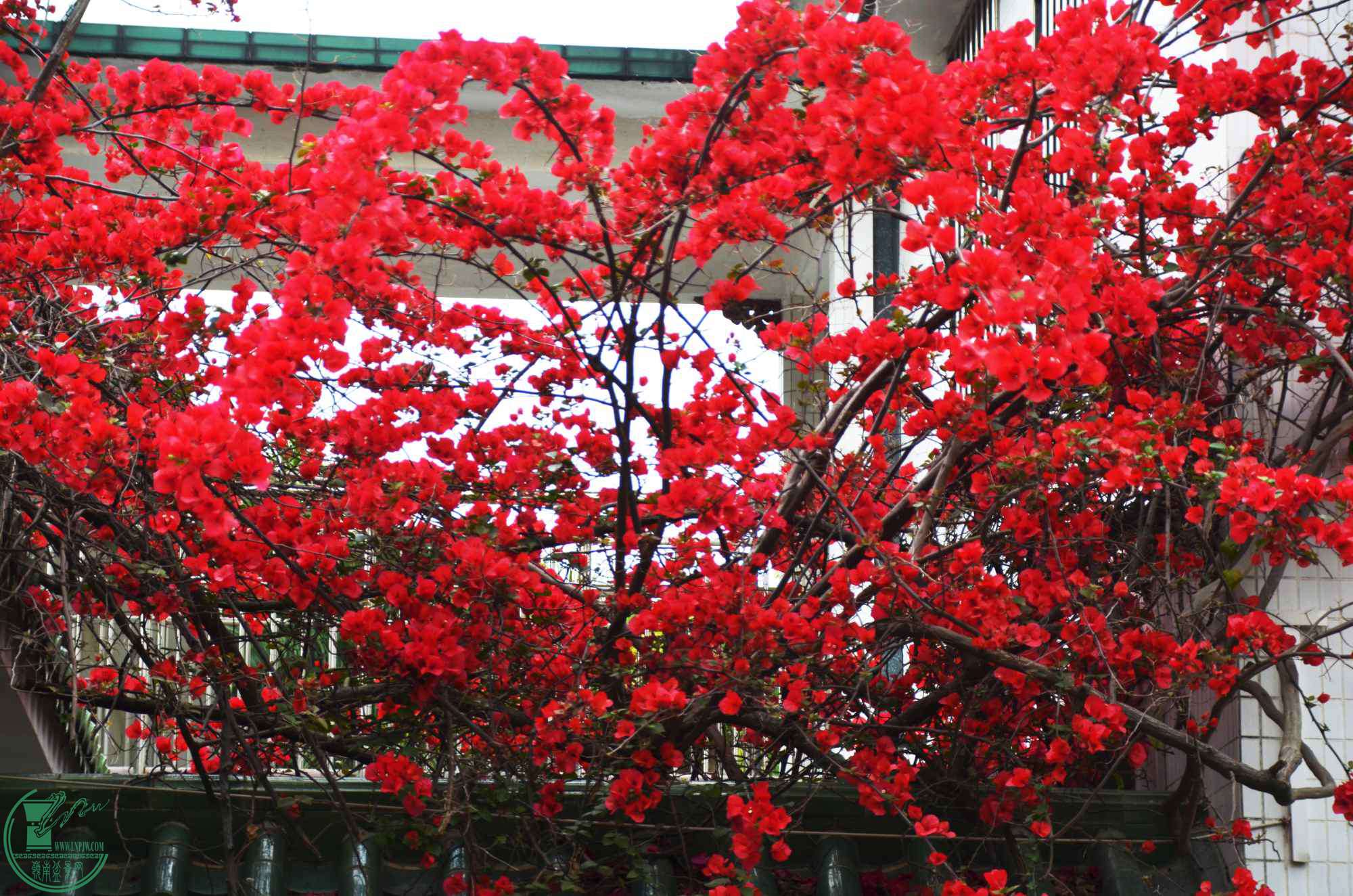 DSC_0148.JPG