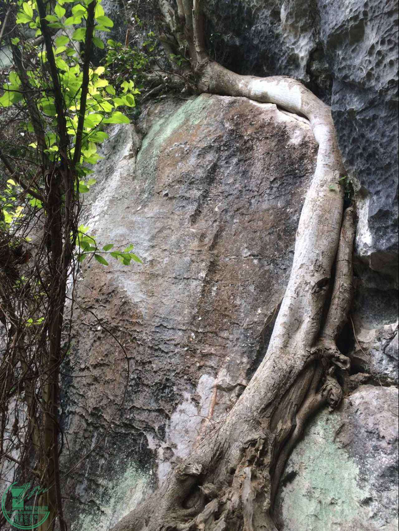 4c18c2dd5d9c0b08.jpg