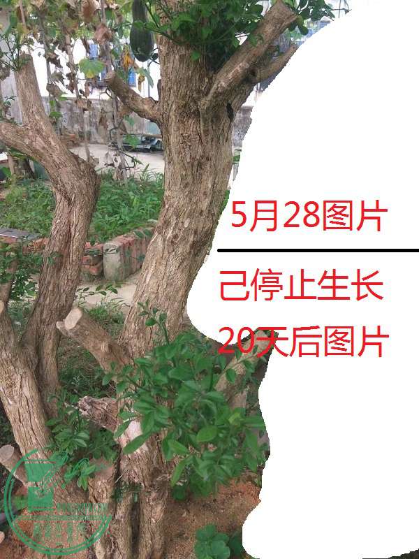 49763462898283253.jpg