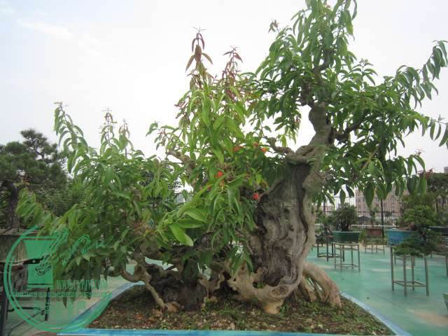 IMG_5807.JPG