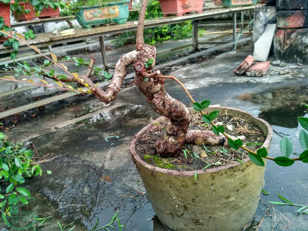 ΢ͼƬ_20170616073142.jpg