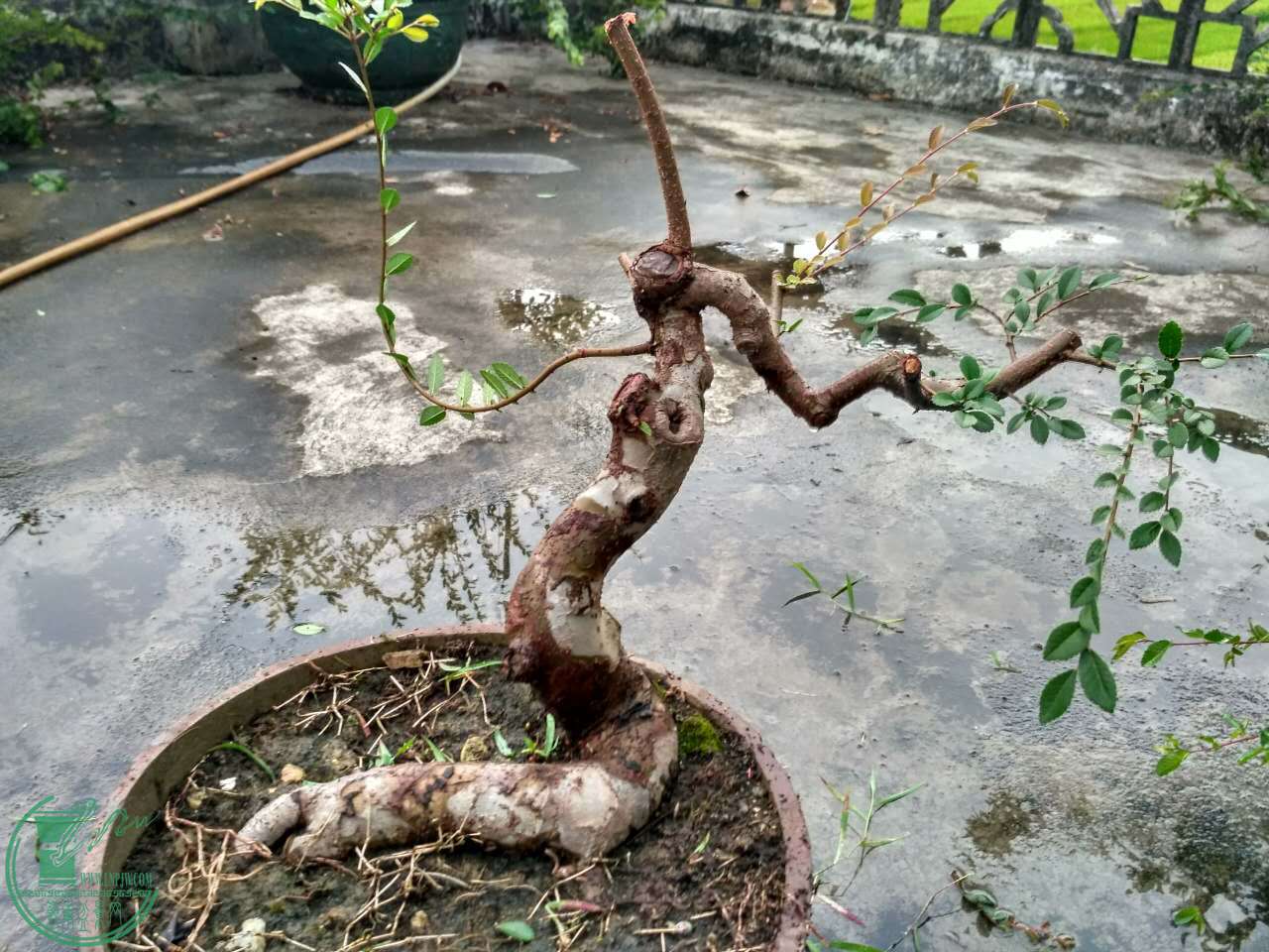 ΢ͼƬ_20170616073154.jpg