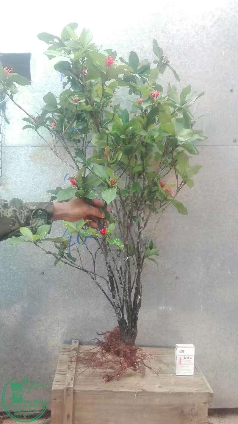 ������5 - ����.jpg