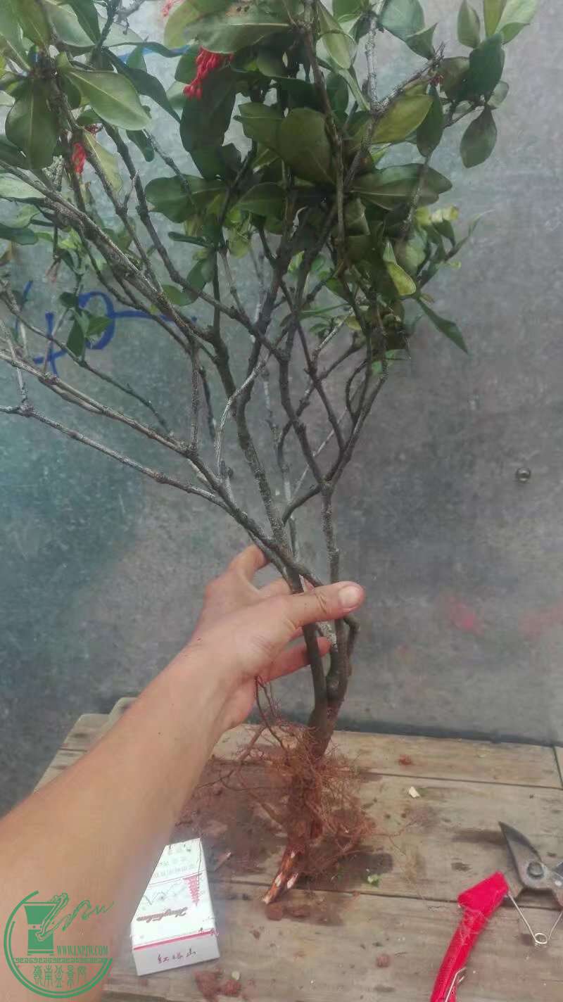 ������3 - ����.jpg