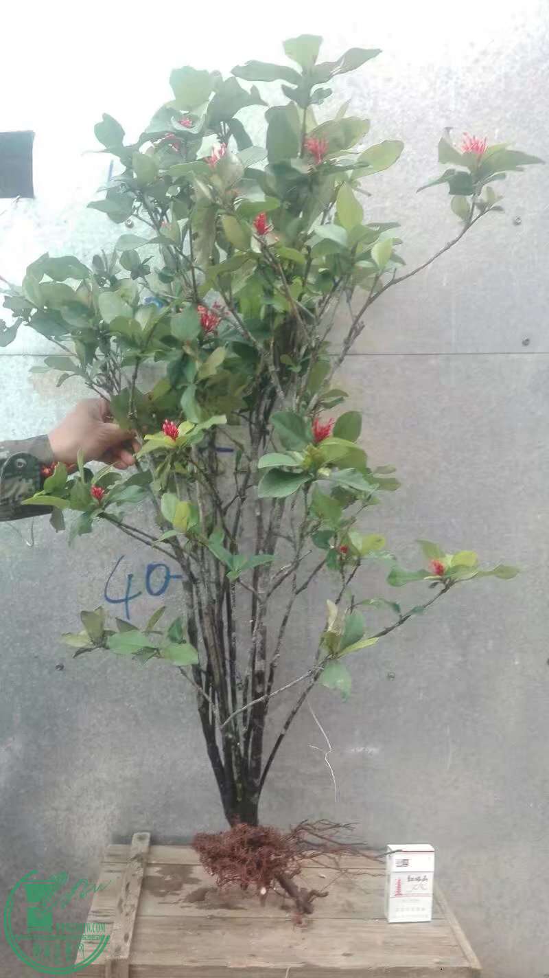 ������6 - ����.jpg