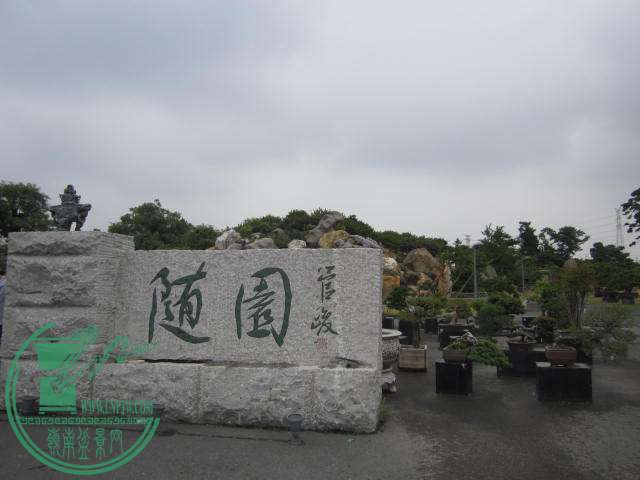 IMG_9806.JPG