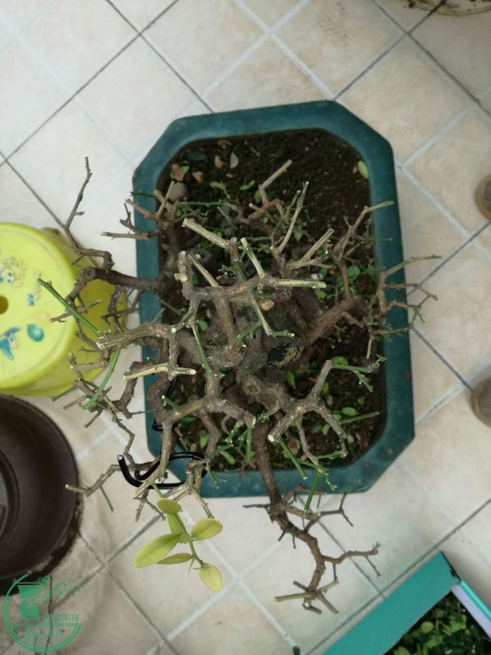 44375001723648674.jpg