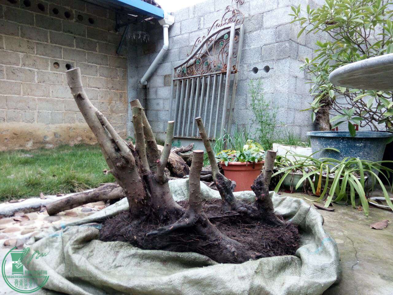 QQͼƬ20020101001045.jpg
