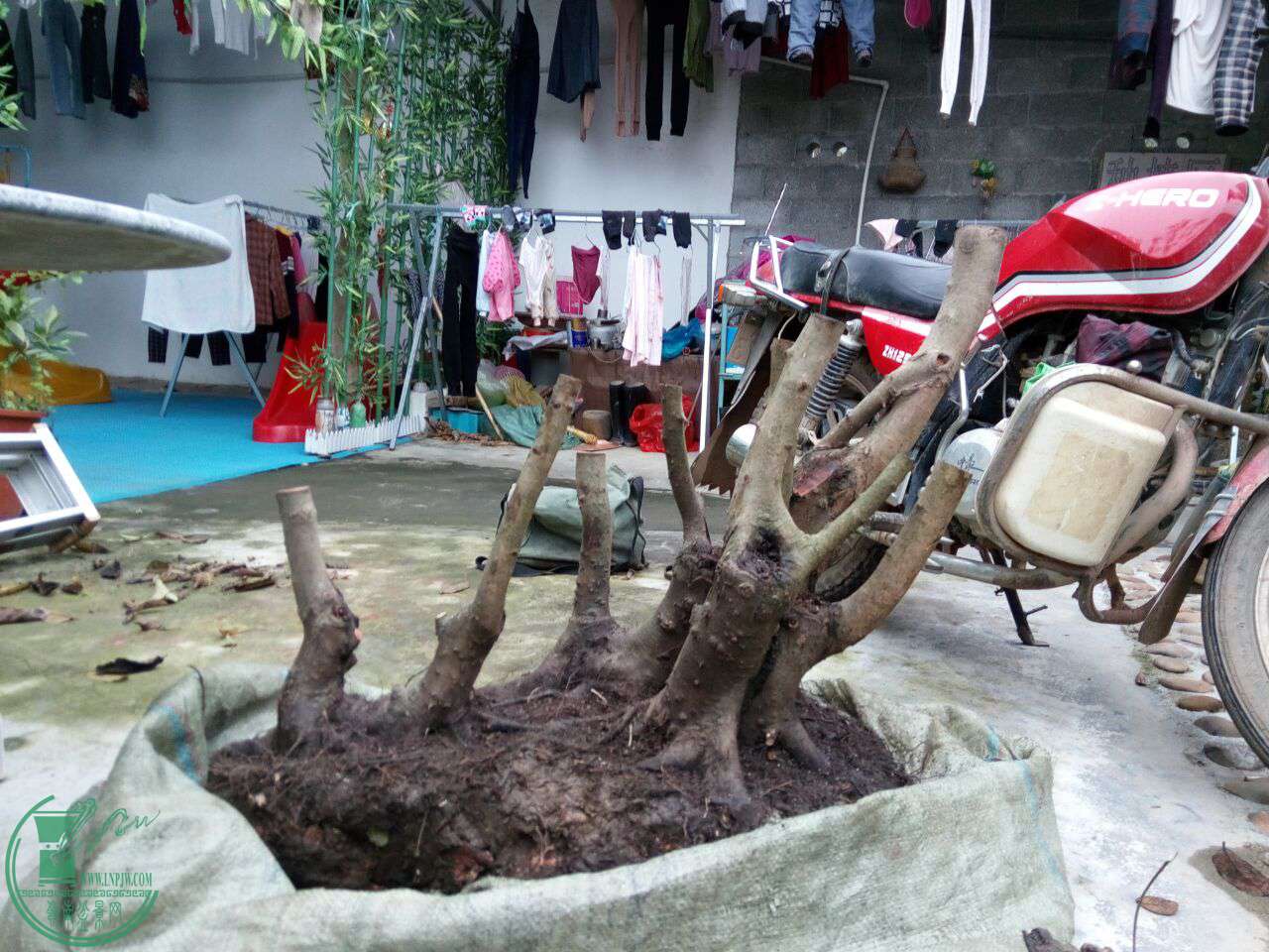 QQͼƬ20020101001050.jpg