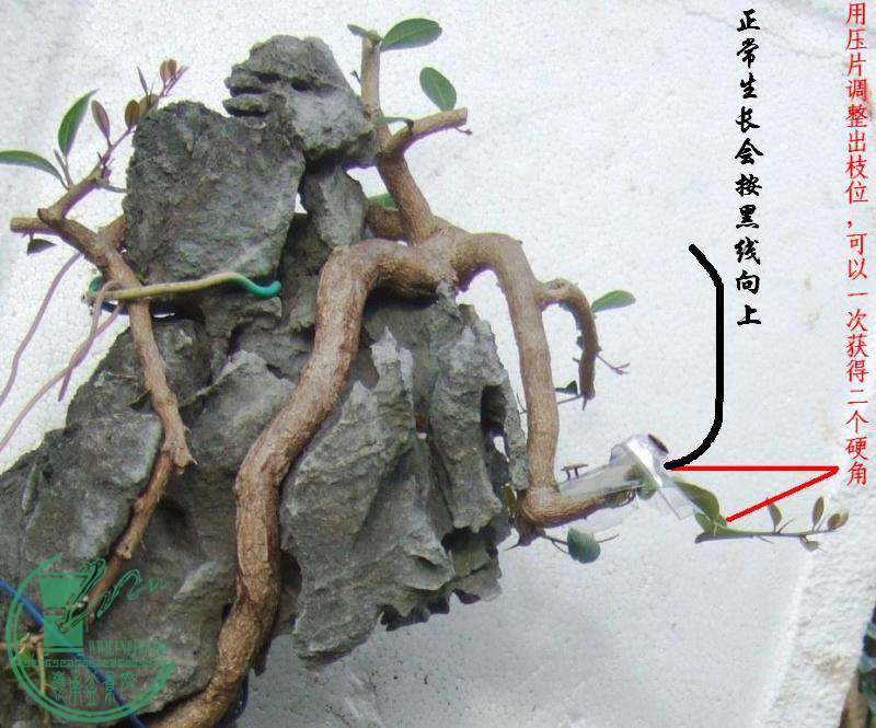 DSCF6891.JPG