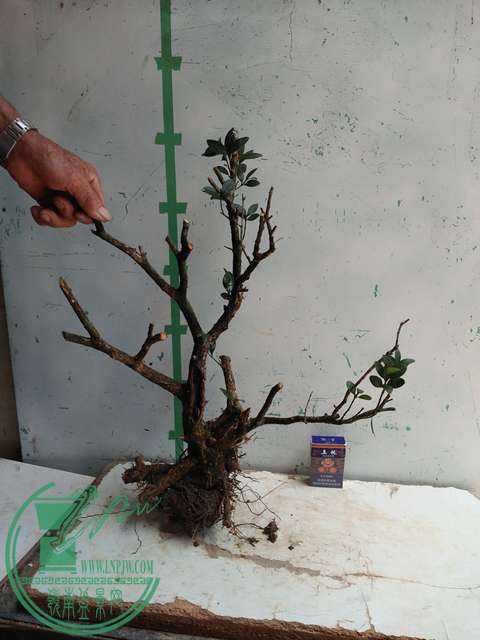 �½��ļ��� (3)IMG20170711125158.jpg