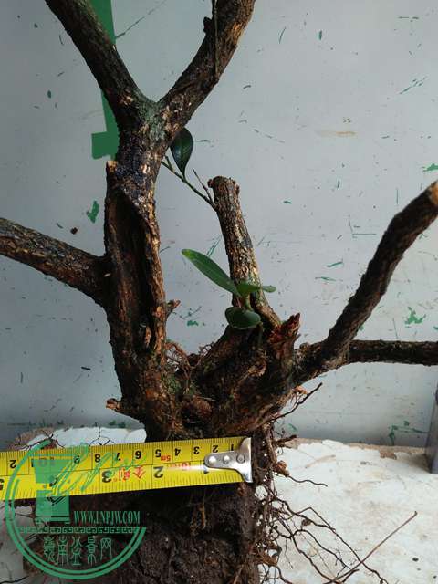 �½��ļ��� (3)IMG20170711125206.jpg