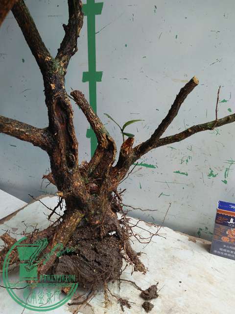 �½��ļ��� (3)IMG20170711125218.jpg