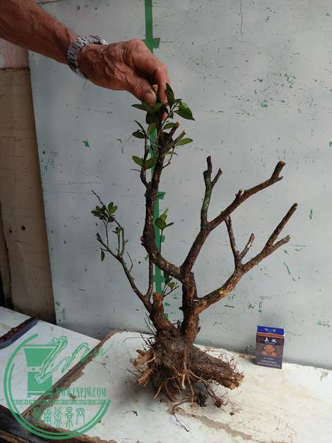 �½��ļ��� (3)IMG20170711125227.jpg