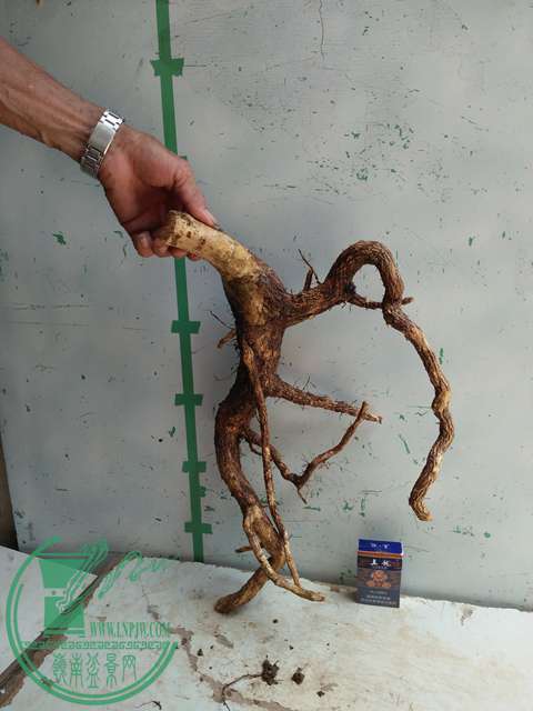 �½��ļ��� (3)IMG20170711125305.jpg