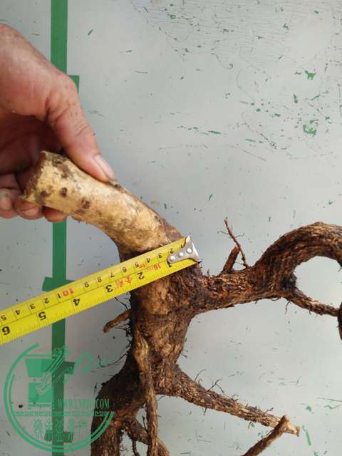 �½��ļ��� (3)IMG20170711125309.jpg