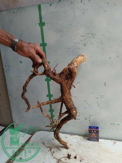 �½��ļ��� (3)IMG20170711125315.jpg