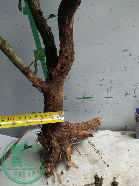 �½��ļ��� (3)IMG20170711125334.jpg