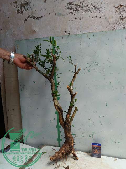 �½��ļ��� (3)IMG20170711125340.jpg