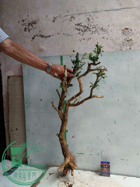 �½��ļ��� (3)IMG20170711125352.jpg