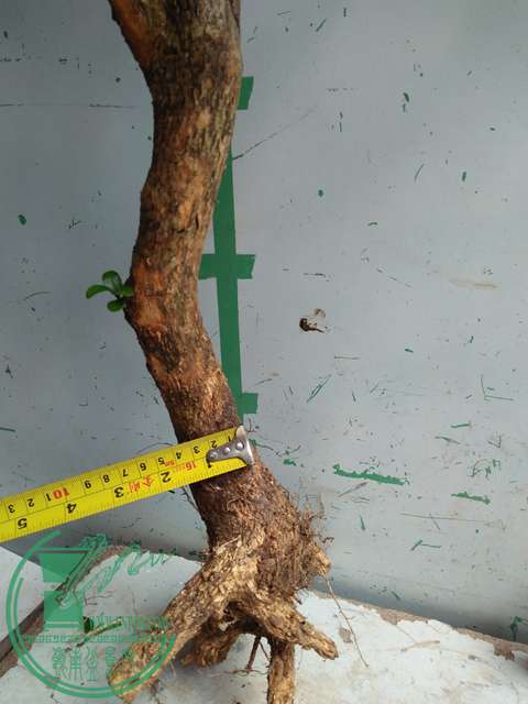 �½��ļ��� (3)IMG20170711125357.jpg