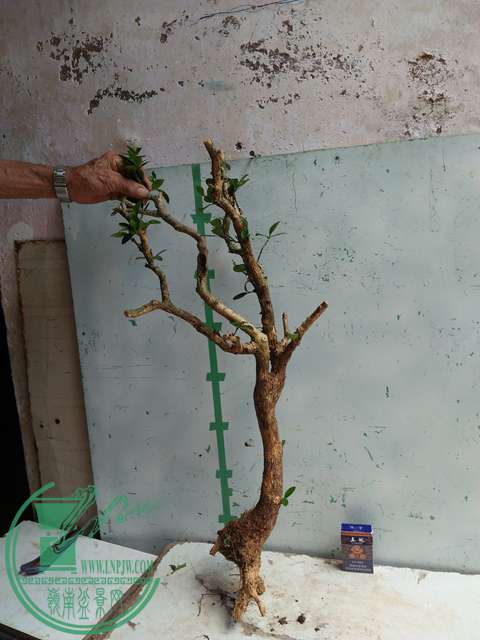 �½��ļ��� (3)IMG20170711125403.jpg