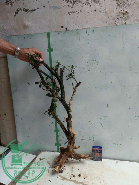 �½��ļ��� (3)IMG20170711125440.jpg