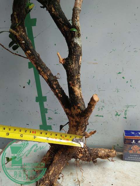 �½��ļ��� (3)IMG20170711125445.jpg